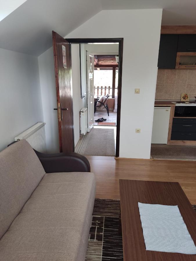 Apartmani Aleksijevic Zlatibor Exterior foto