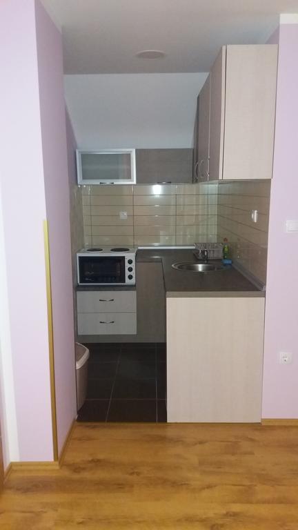 Apartmani Aleksijevic Zlatibor Exterior foto