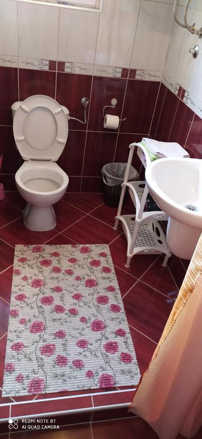 Apartmani Aleksijevic Zlatibor Exterior foto