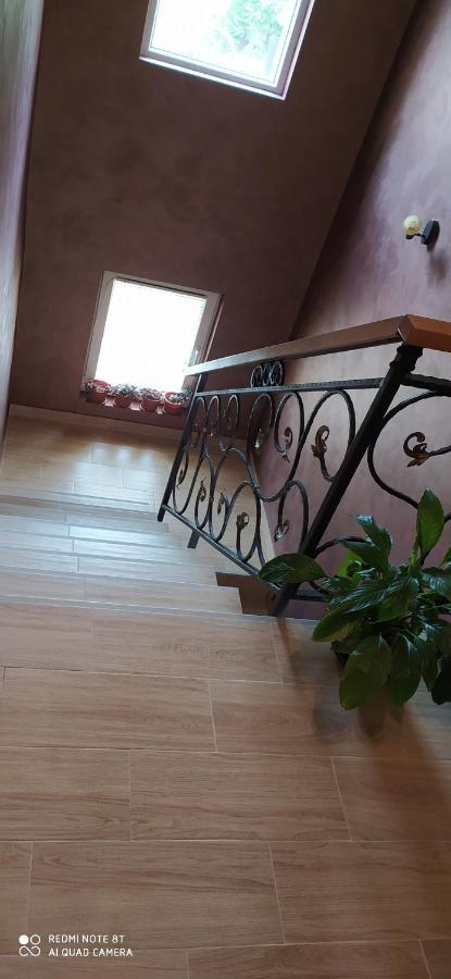 Apartmani Aleksijevic Zlatibor Exterior foto